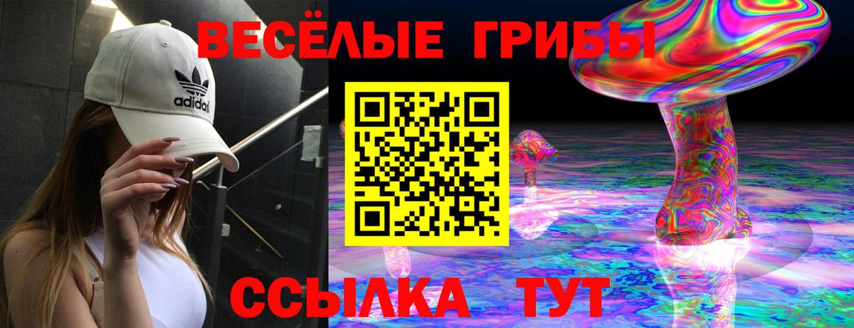 Галлюциногенные грибы мицелий  Вход с VPN  Гусь-Хрустальный 